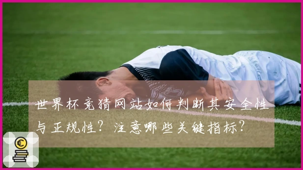 世界杯竞猜网站如何判断其安全性与正规性？注意哪些关键指标？