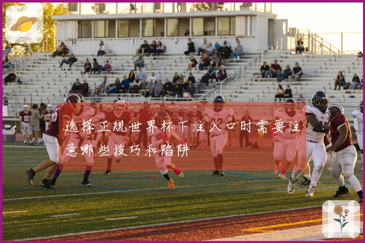 选择正规世界杯下注入口时需要注意哪些技巧和陷阱