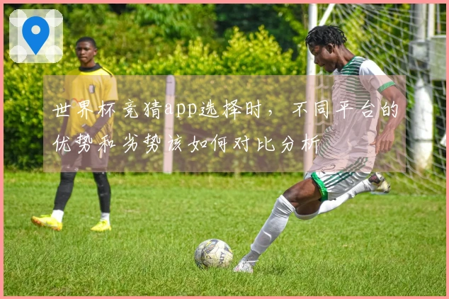 世界杯竞猜app选择时，不同平台的优势和劣势该如何对比分析
