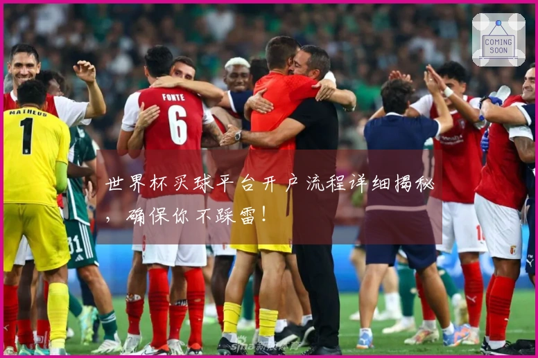 世界杯买球平台开户流程详细揭秘，确保你不踩雷！