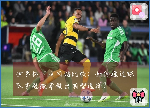 世界杯下注网站比较：如何通过球队夺冠概率做出明智选择？