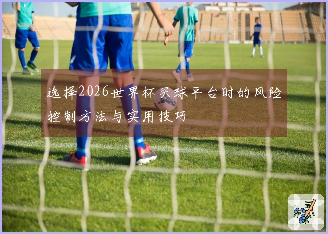 选择2026世界杯买球平台时的风险控制方法与实用技巧