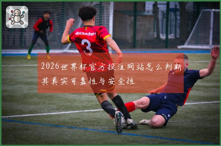 2026世界杯官方投注网站怎么判断其真实可靠性与安全性