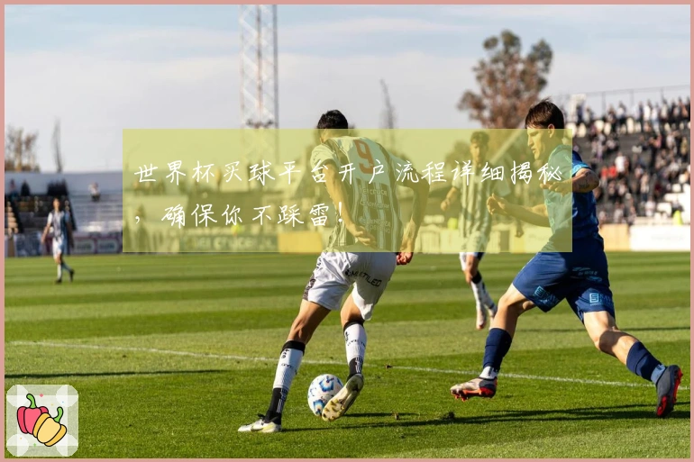 世界杯买球平台开户流程详细揭秘，确保你不踩雷！