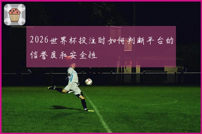 2026世界杯投注时如何判断平台的信誉度和安全性