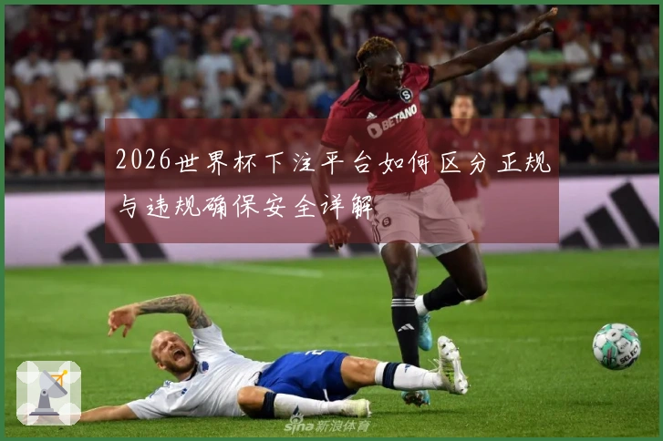 2026世界杯下注平台如何区分正规与违规确保安全详解