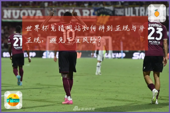 世界杯竞猜网站如何辨别正规与非正规，避免下注风险？