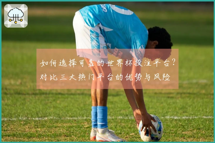 如何选择可靠的世界杯投注平台？对比三大热门平台的优势与风险