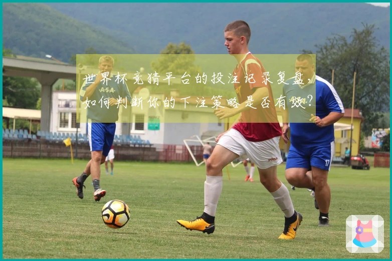 世界杯竞猜平台的投注记录复盘，如何判断你的下注策略是否有效？