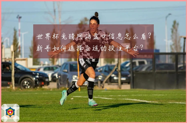 世界杯竞猜网站盘口信息怎么看？新手如何选择合适的投注平台？