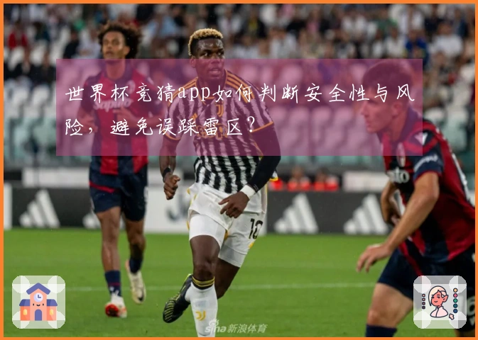 世界杯竞猜app如何判断安全性与风险，避免误踩雷区？