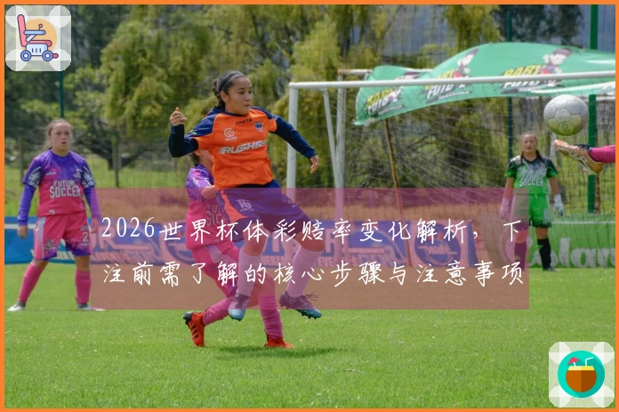 2026世界杯体彩赔率变化解析，下注前需了解的核心步骤与注意事项