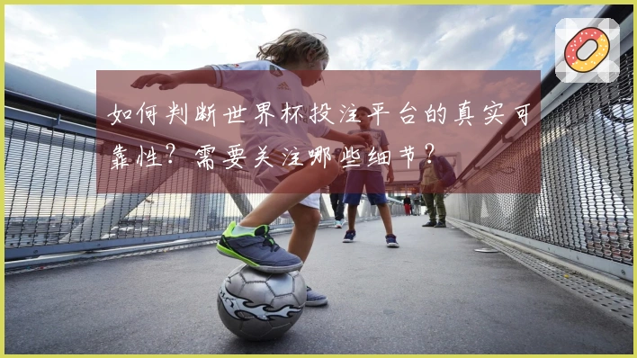 如何判断世界杯投注平台的真实可靠性？需要关注哪些细节？