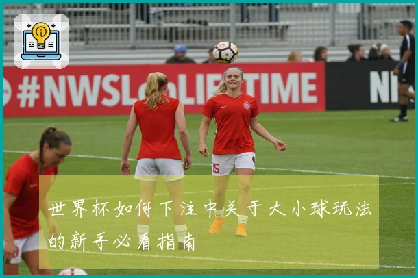 世界杯如何下注中关于大小球玩法的新手必看指南