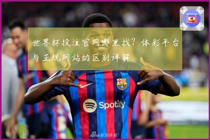 世界杯投注官网哪里找？体彩平台与正规网站的区别详解
