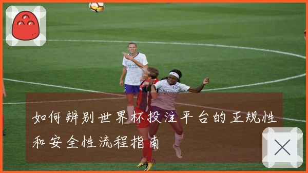如何辨别世界杯投注平台的正规性和安全性流程指南