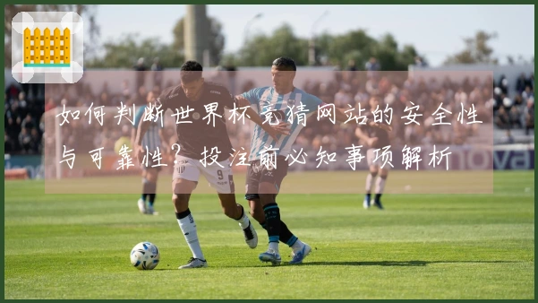 如何判断世界杯竞猜网站的安全性与可靠性？投注前必知事项解析
