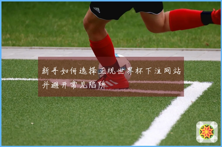 新手如何选择正规世界杯下注网站并避开常见陷阱