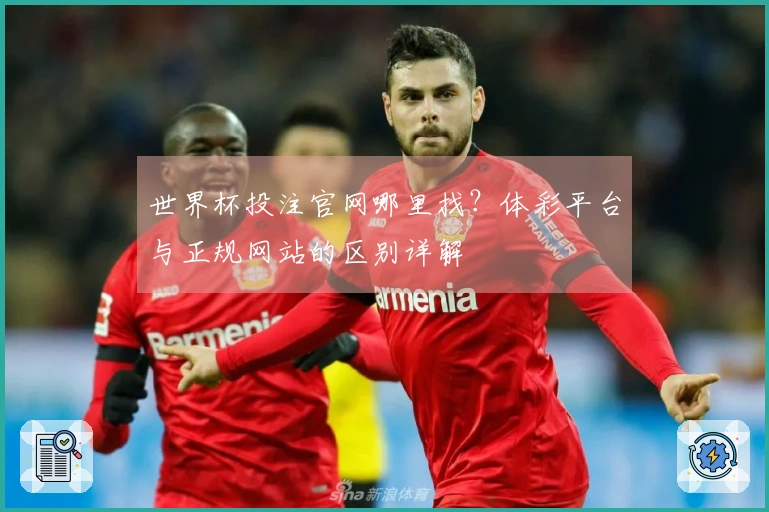 世界杯投注官网哪里找？体彩平台与正规网站的区别详解