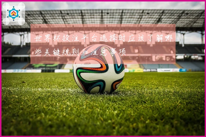 世界杯投注平台选择时应该了解哪些关键规则和注意事项