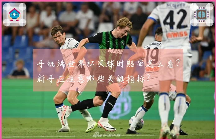 手机端世界杯买球时赔率怎么看？新手应注意哪些关键指标？