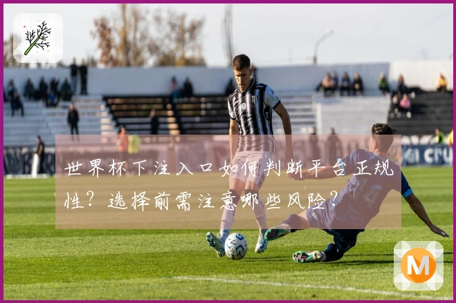 世界杯下注入口如何判断平台正规性？选择前需注意哪些风险？