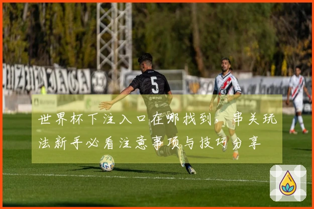 世界杯下注入口在哪找到，串关玩法新手必看注意事项与技巧分享