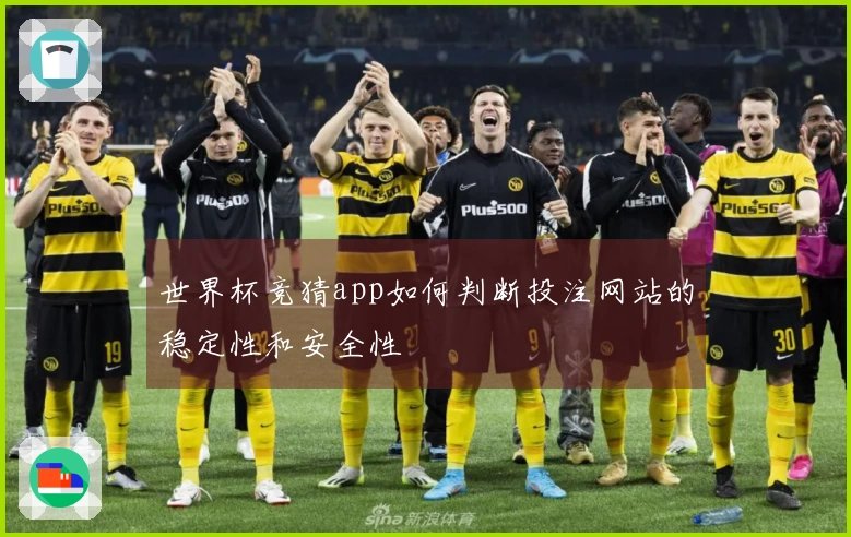世界杯竞猜app如何判断投注网站的稳定性和安全性