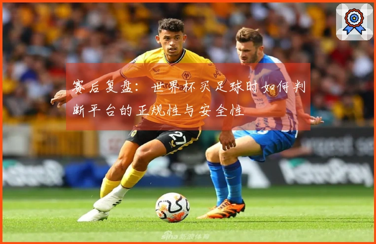 赛后复盘：世界杯买足球时如何判断平台的正规性与安全性