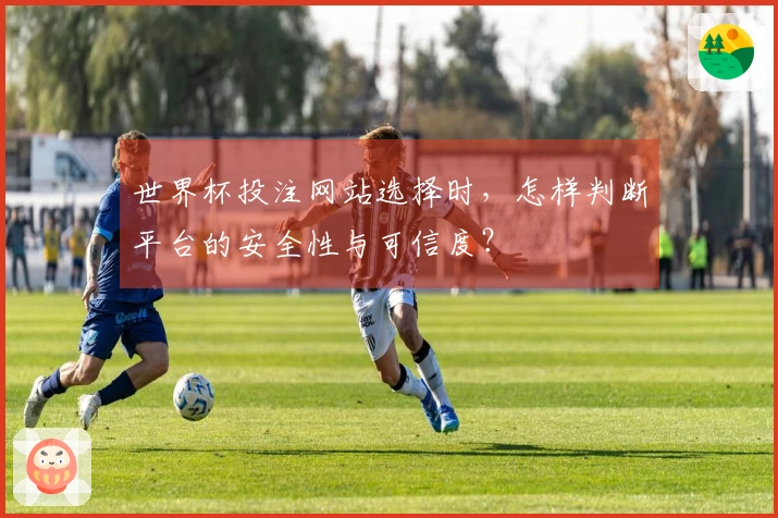 世界杯投注网站选择时，怎样判断平台的安全性与可信度？