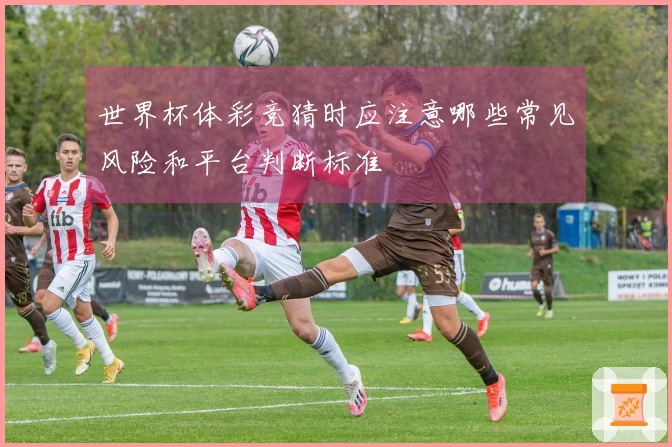 世界杯体彩竞猜时应注意哪些常见风险和平台判断标准
