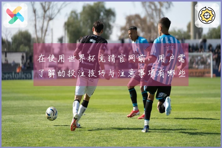 在使用世界杯竞猜官网前，用户需了解的投注技巧与注意事项有哪些？