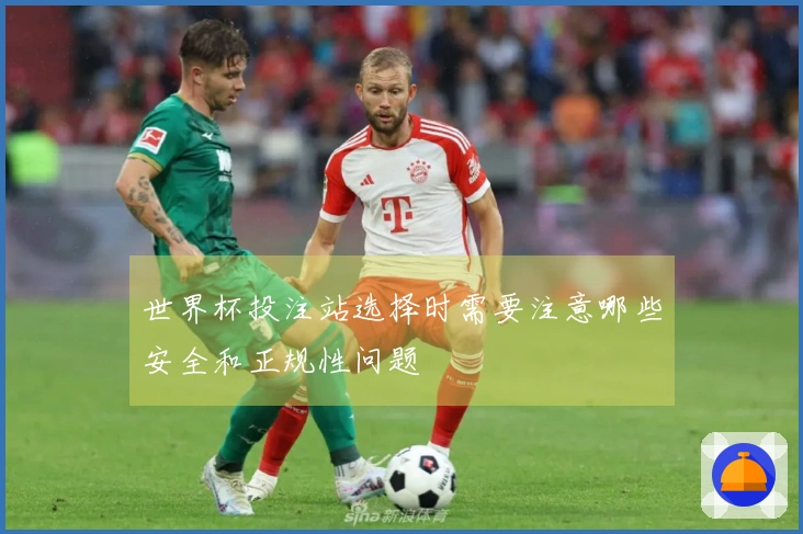 世界杯投注站选择时需要注意哪些安全和正规性问题