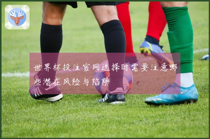 世界杯投注官网选择时需要注意哪些潜在风险与陷阱