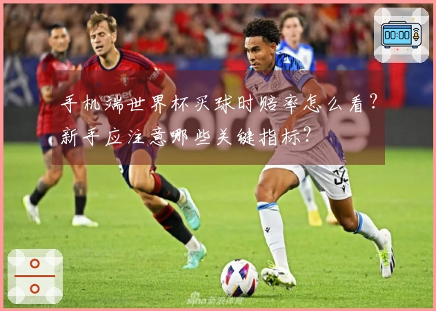 手机端世界杯买球时赔率怎么看？新手应注意哪些关键指标？