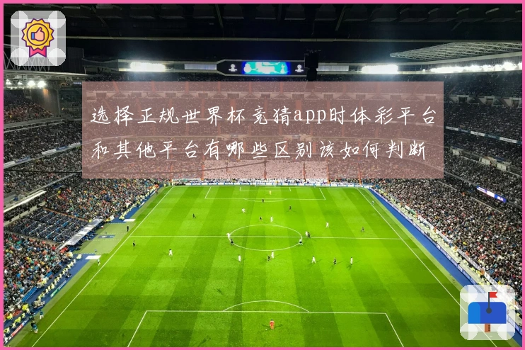 选择正规世界杯竞猜app时体彩平台和其他平台有哪些区别该如何判断？