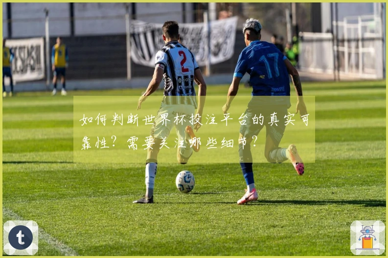 如何判断世界杯投注平台的真实可靠性？需要关注哪些细节？