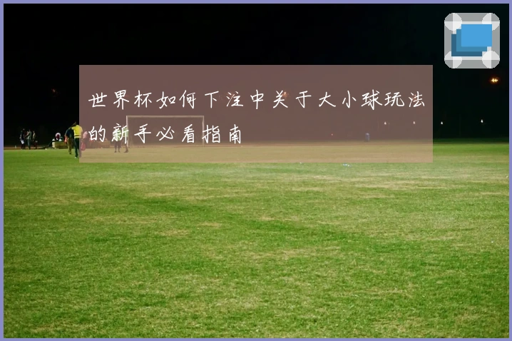 世界杯如何下注中关于大小球玩法的新手必看指南