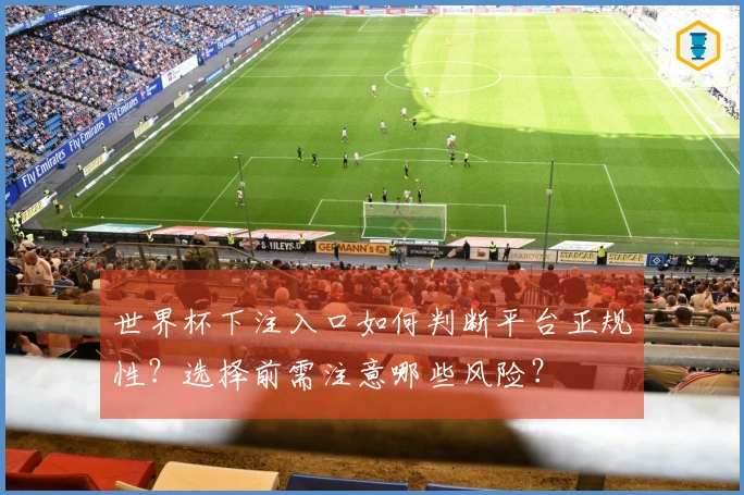 世界杯下注入口如何判断平台正规性？选择前需注意哪些风险？