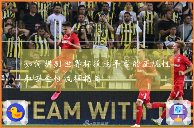 如何辨别世界杯投注平台的正规性和安全性流程指南