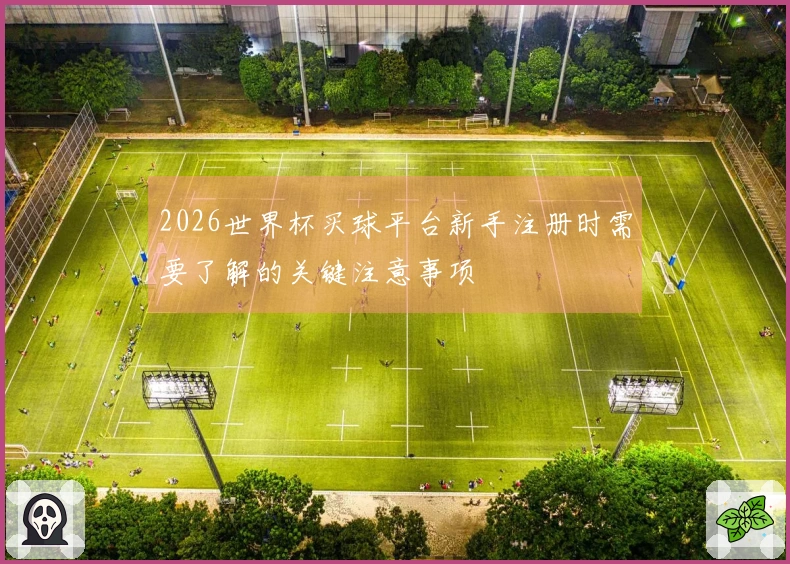 2026世界杯买球平台新手注册时需要了解的关键注意事项