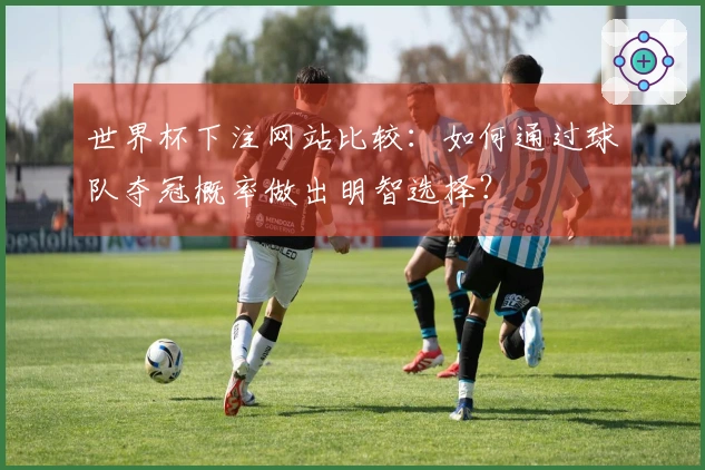 世界杯下注网站比较：如何通过球队夺冠概率做出明智选择？