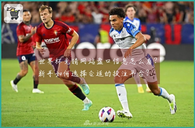 世界杯竞猜网站盘口信息怎么看？新手如何选择合适的投注平台？